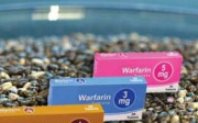 Warfarin a hormony